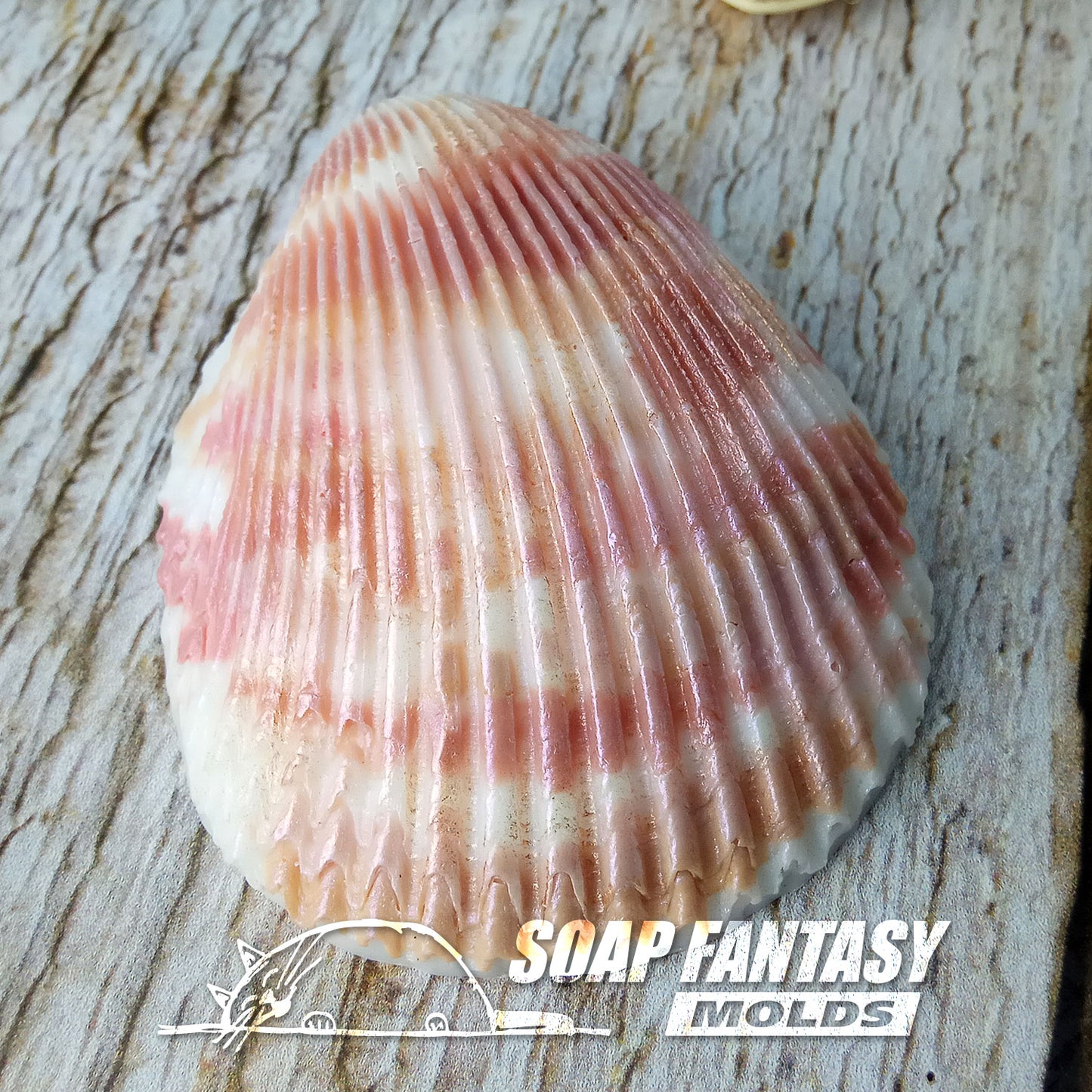 Seashell #2 silicone mold for soap making