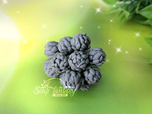 Brunia Nodiflora plants silicone mold (mould) for soap making and candle making
