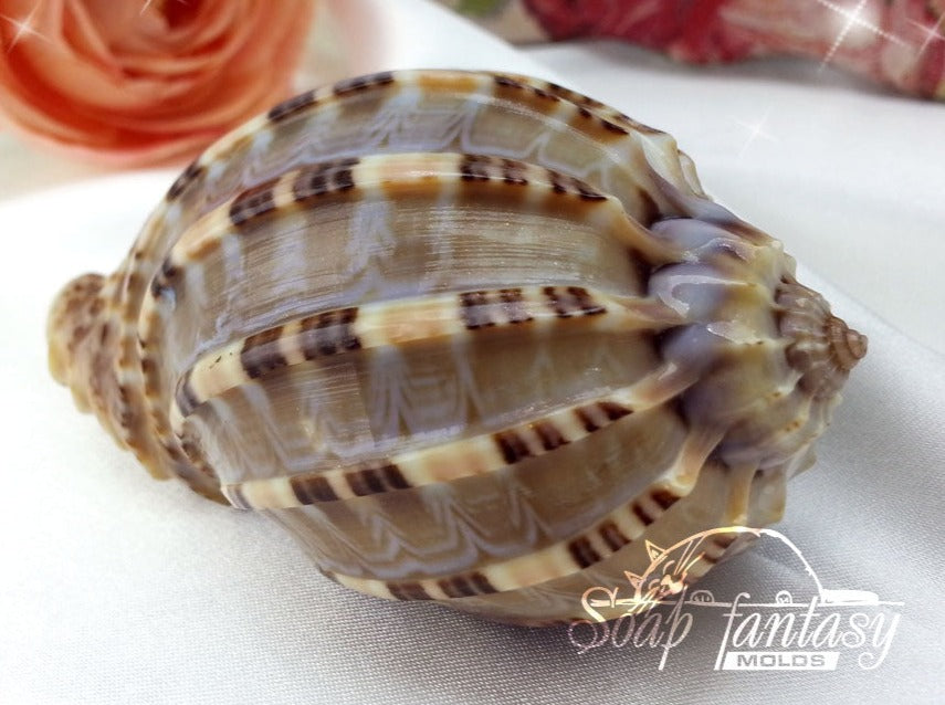 Sea shell #3 silicone mold for soap making
