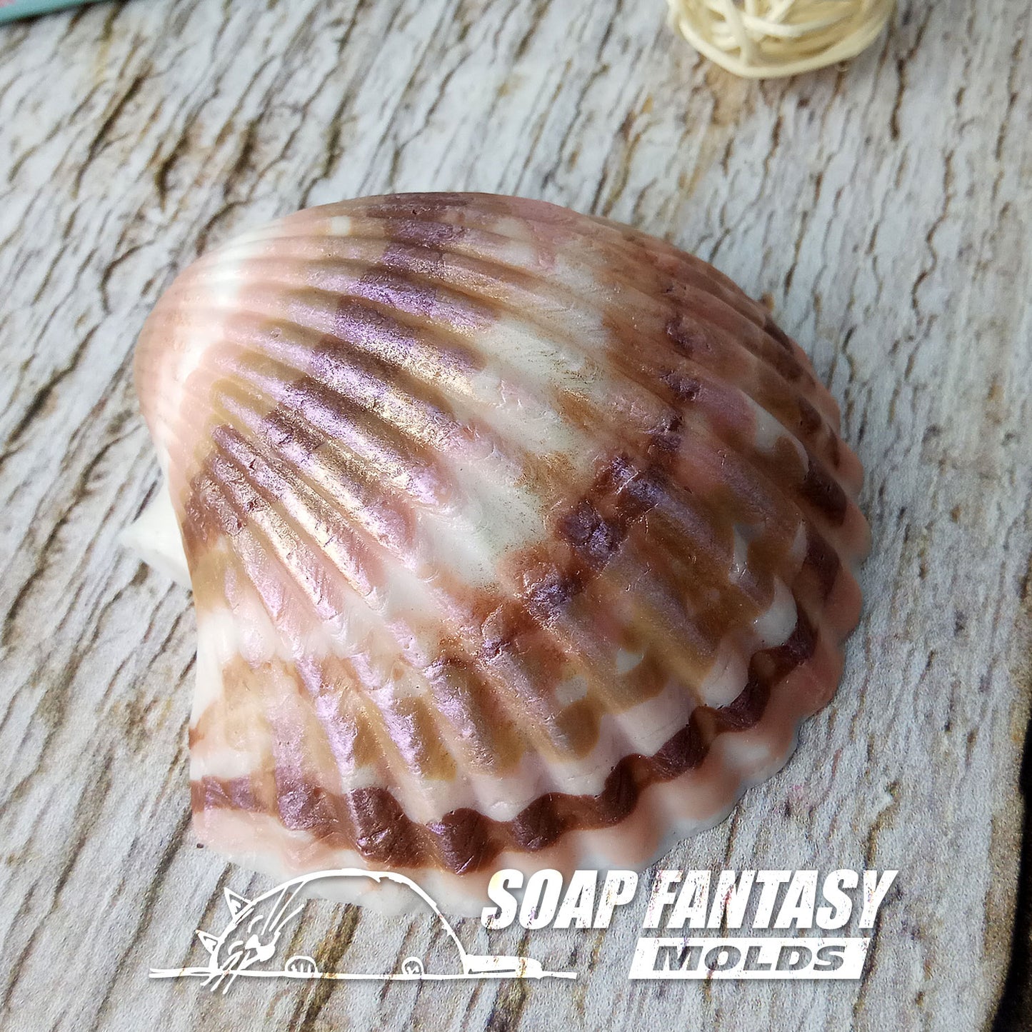 Seashell #4 silicone mold for soap making