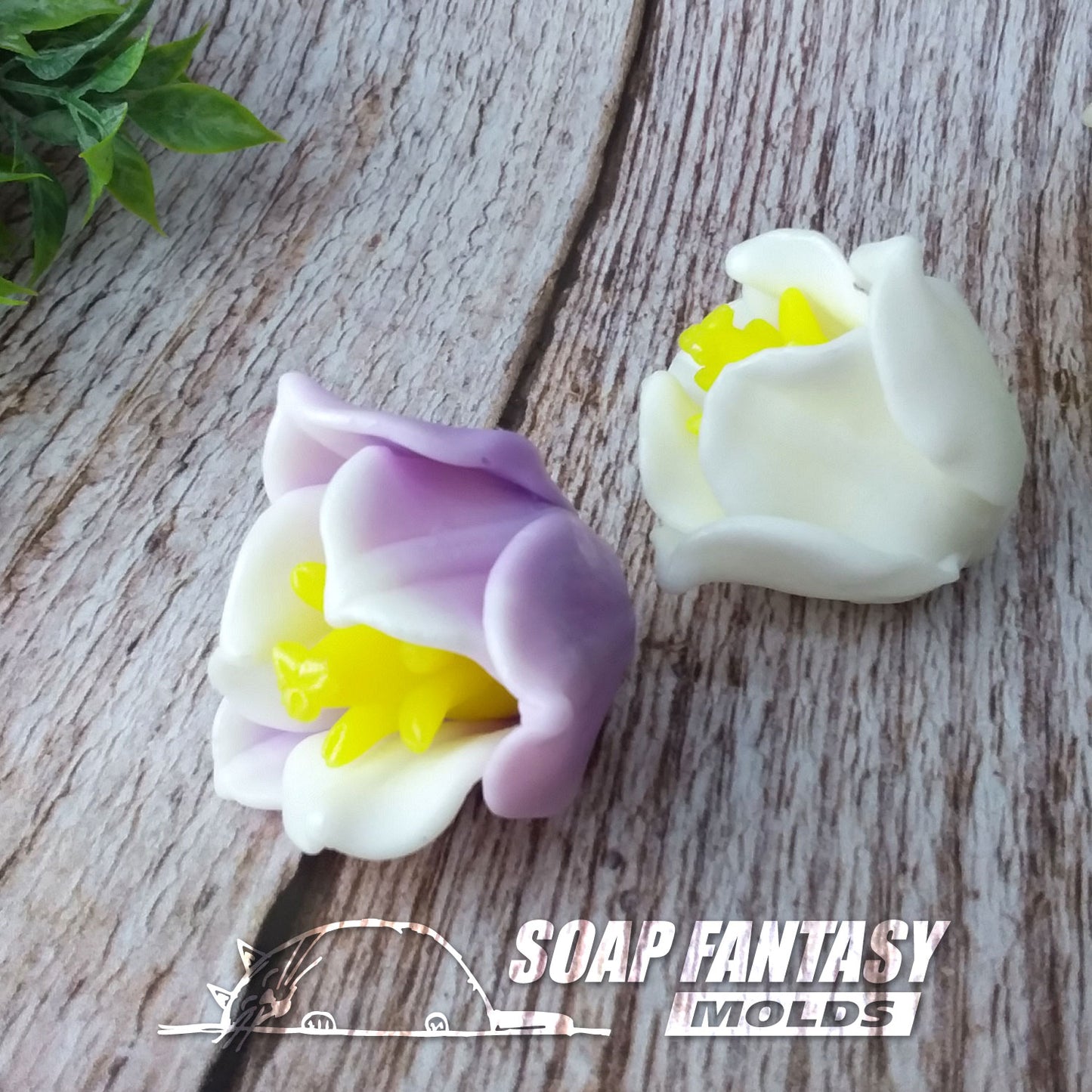 Tulip "Triumph" silicone mold for soap making