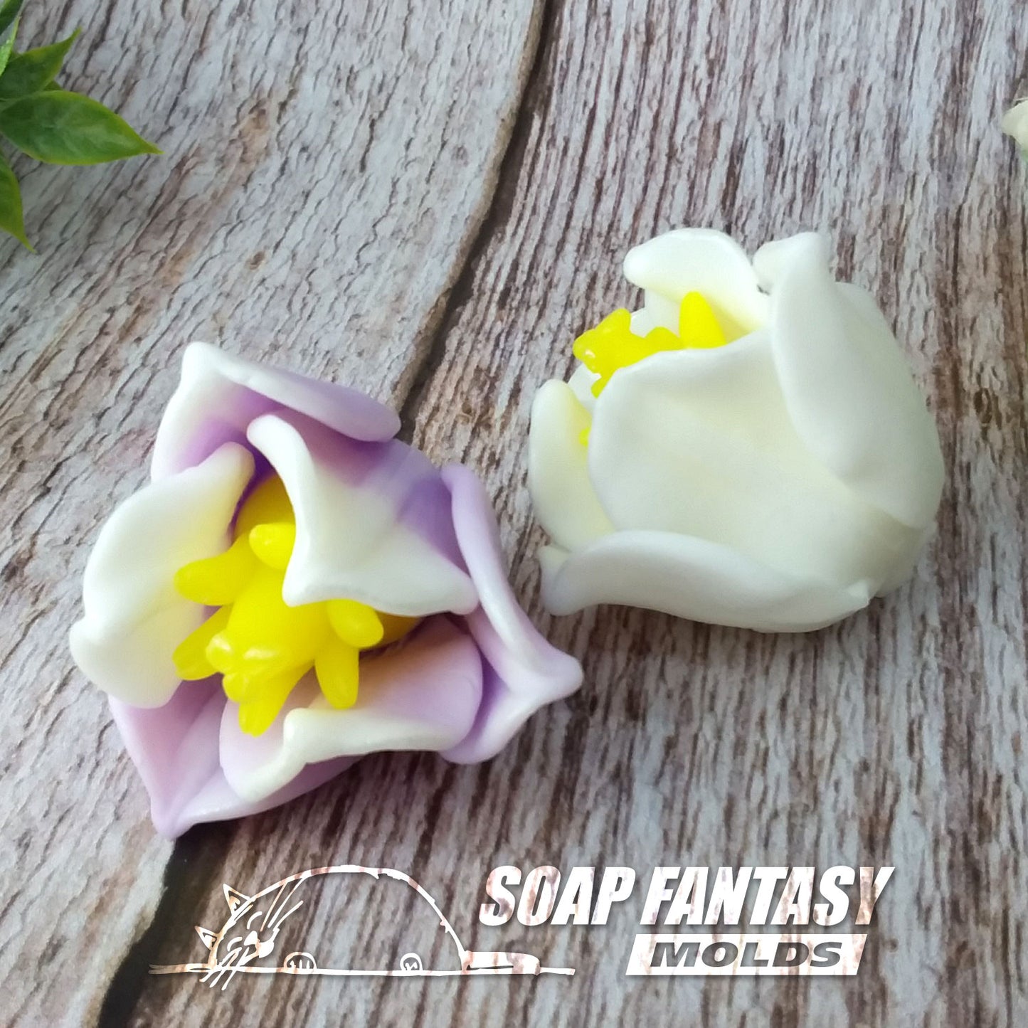 Tulip "Triumph" silicone mold for soap making