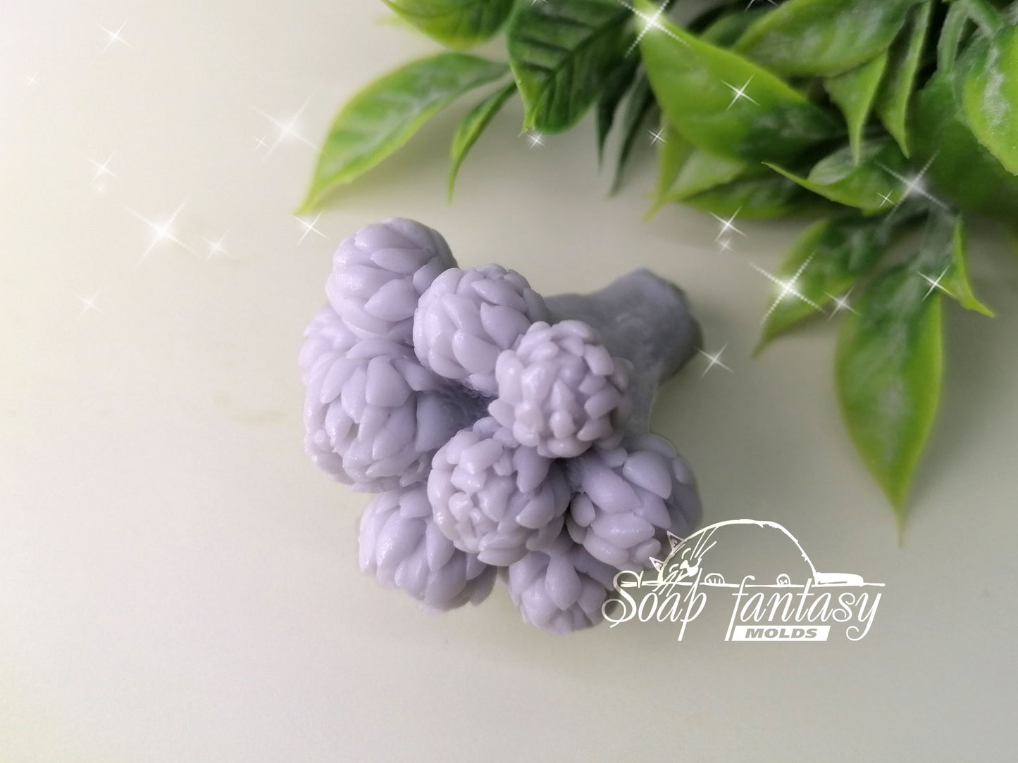 Brunia Nodiflora plants silicone mold (mould) for soap making and candle making