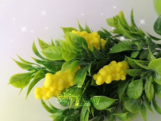 Mimosa mini Silicone Soap Mold - for soap making, Craft & Hobby