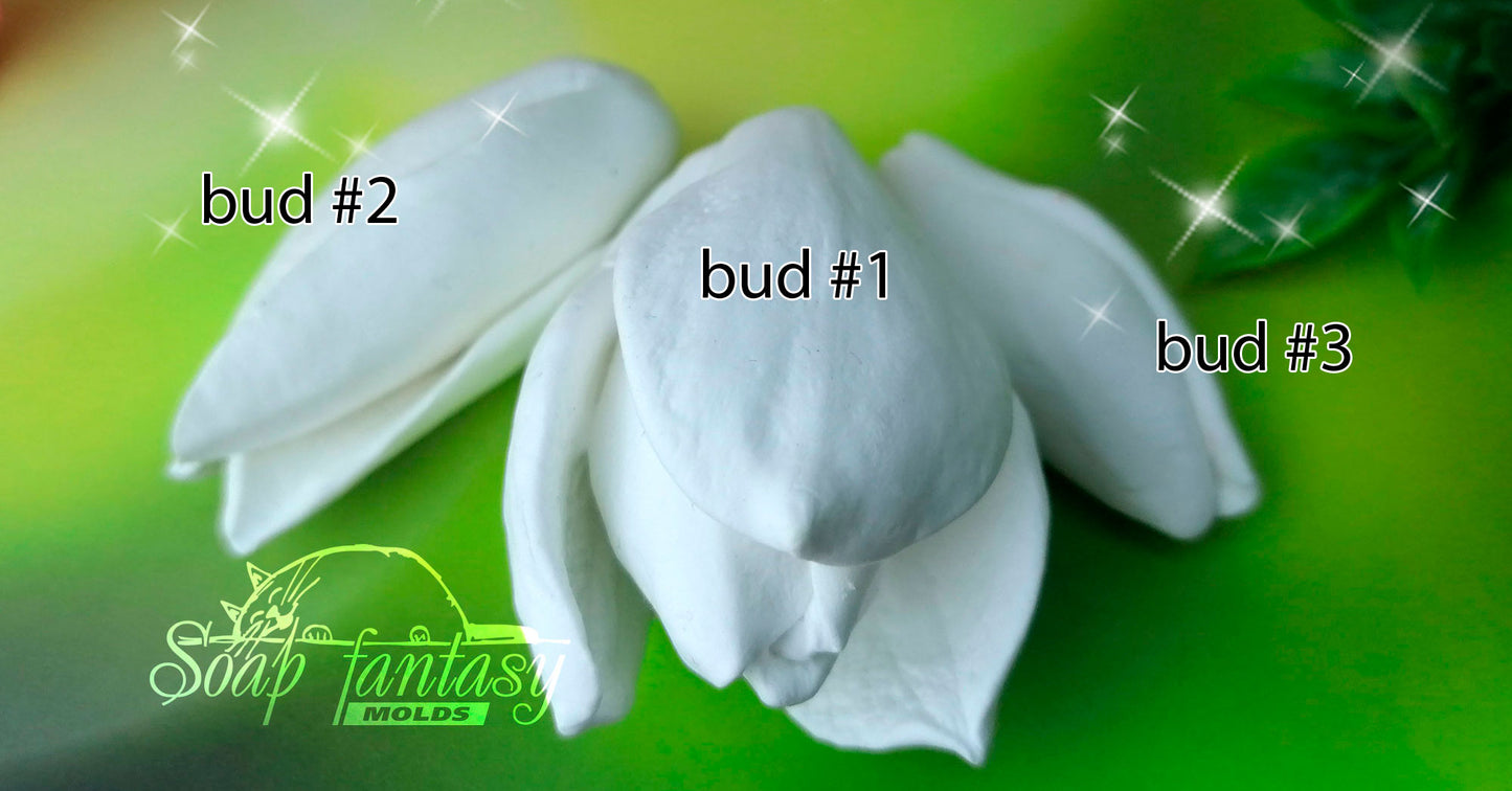 Magnolia soulangeana buds #2-3 silicone mold for soap making