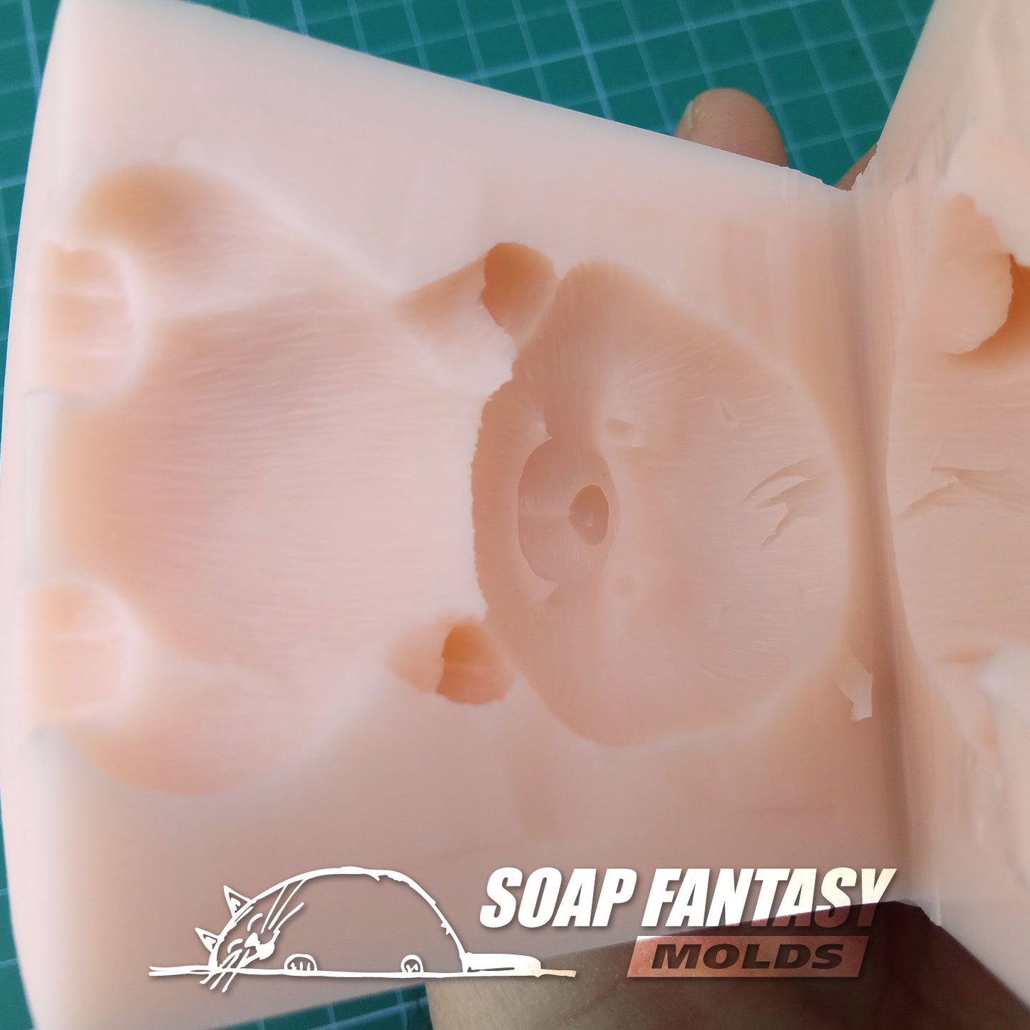 Pussy cat with a "For You" txt silicone mold for soap making