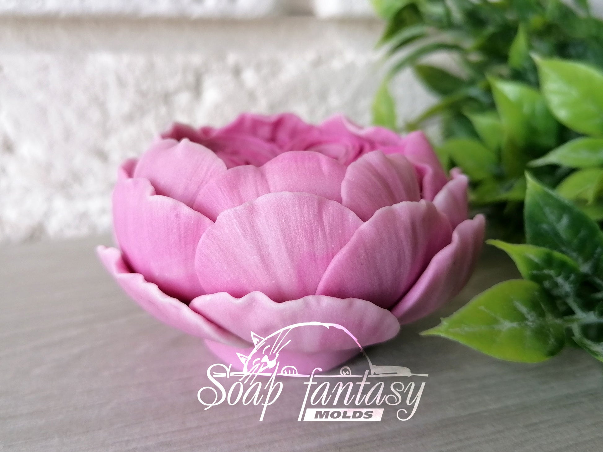 Austin English Rose flower silicone mold (mould) for soap making and candle making