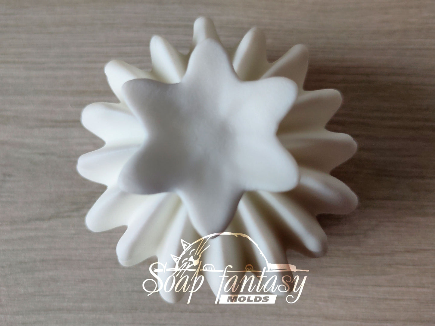 Big Cactus (Echinopsis) silicone mold (mould) for soap making and candle making