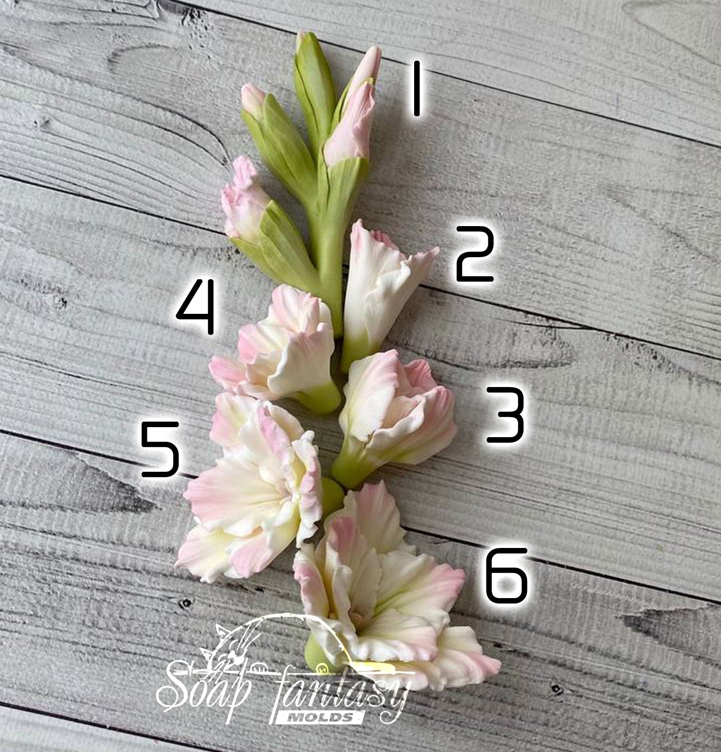 Gladiolus (Part 6 of the set) Silicone Soap Mold - for soap making, Craft & Hobby
