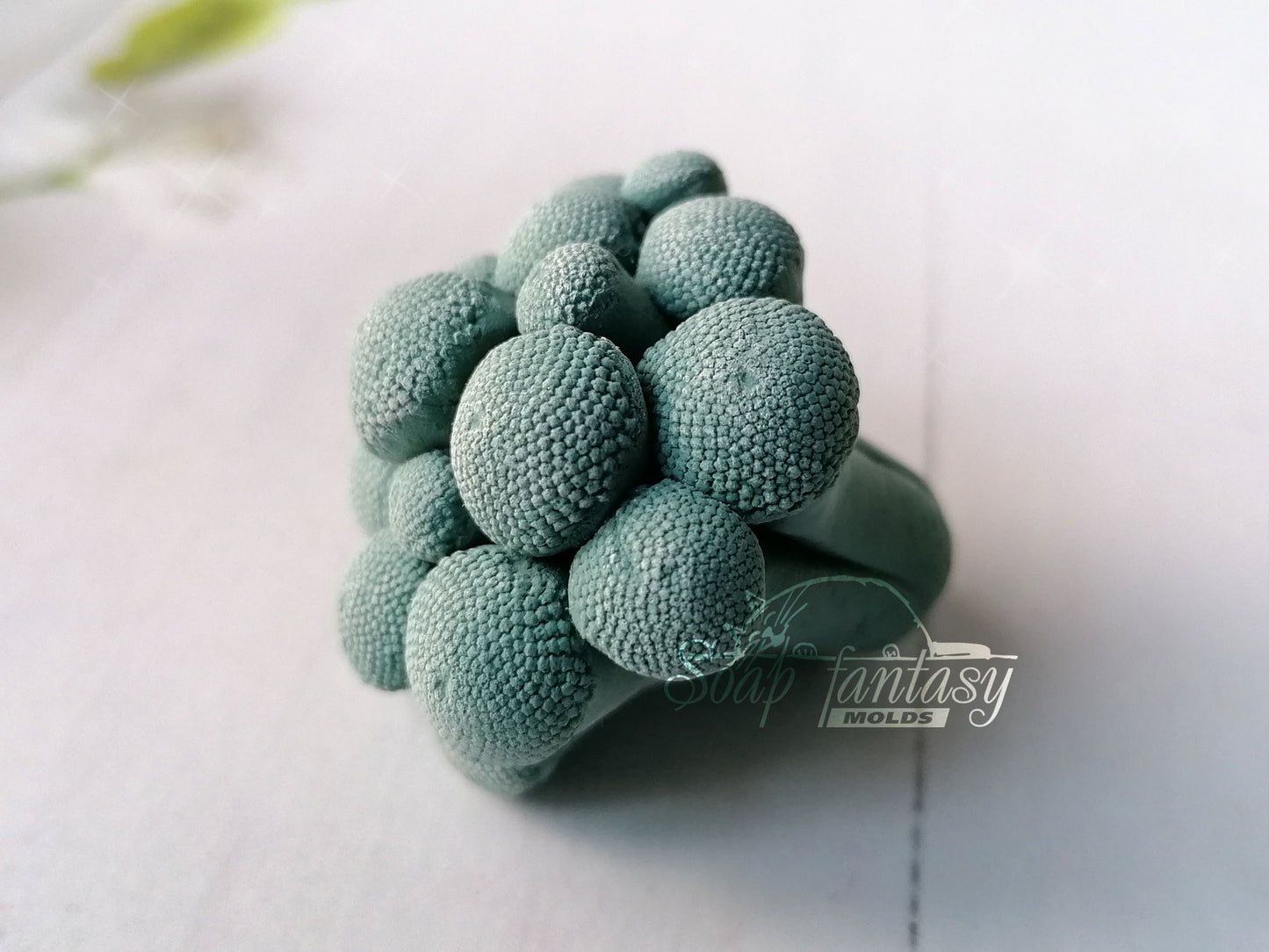 Silver Brunia plants silicone mold for soap making