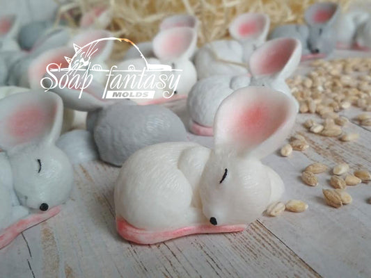 Sleeping little mouse Silicone Soap Mold - for soap making, Craft & Hobby
