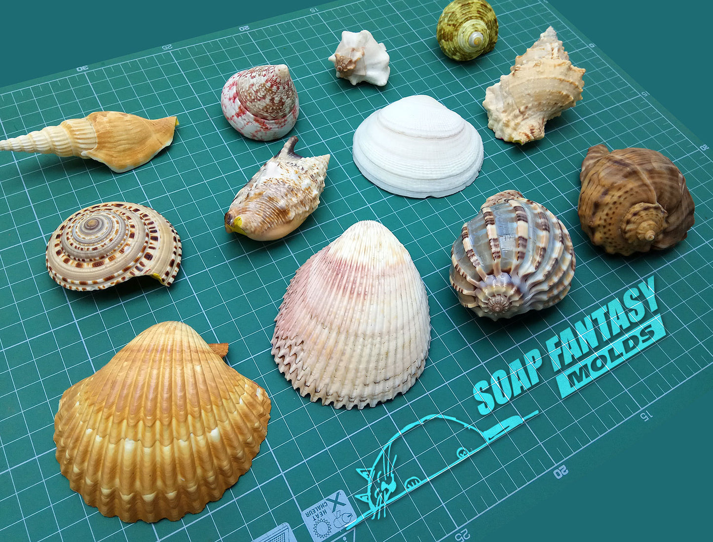 Seashell #2 silicone mold for soap making