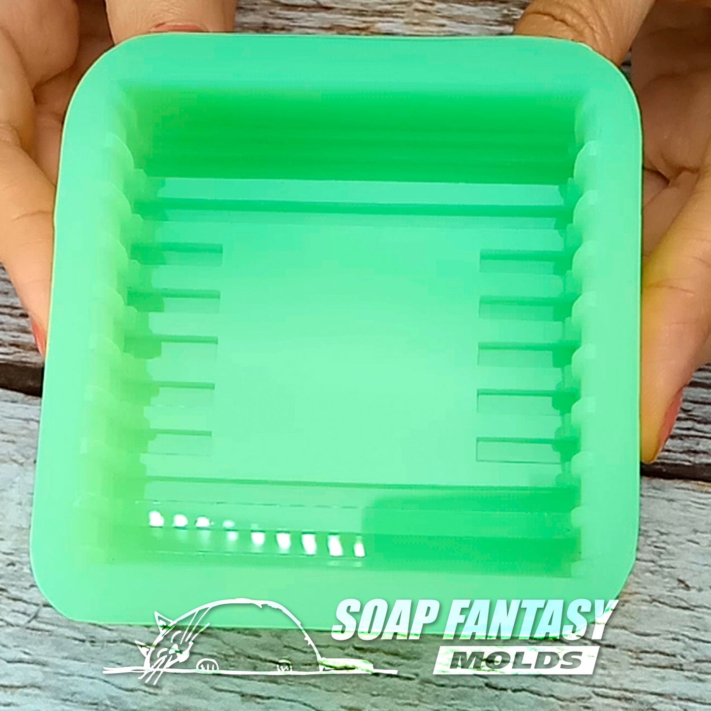 Sea breeze silicone mold for making soap with a picture