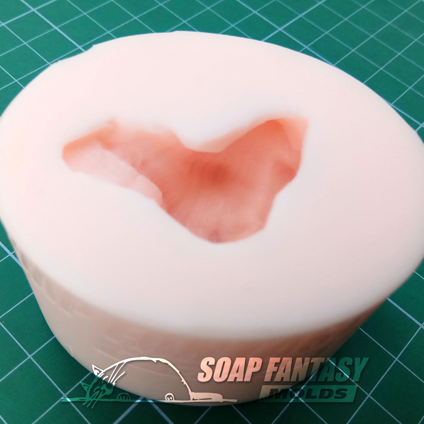 Sea shell #10 silicone mold for soap making