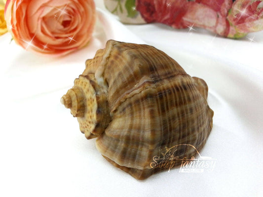 Sea shell #1 (Rapana) Silicone Soap Mold - for soap making, Craft & Hobby
