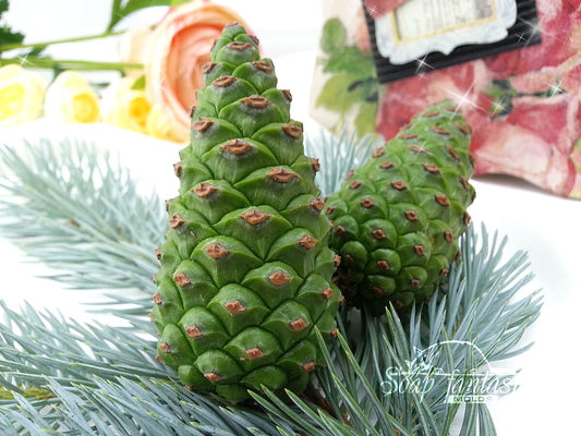 Pine cone (green) Silicone Soap Mold - for soap making, Craft & Hobby
