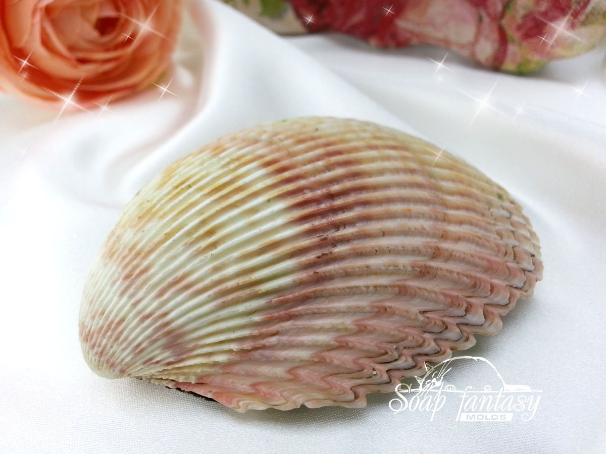 Seashell #2 silicone mold for soap making