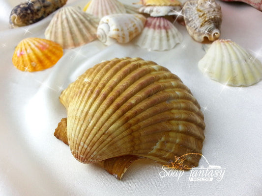 Seashell #4 Silicone Soap Mold - for soap making, Craft & Hobby