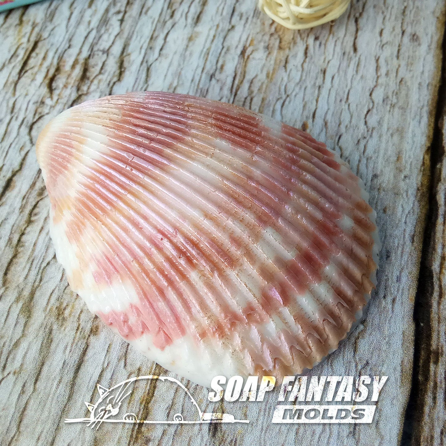 Seashell #2 silicone mold for soap making