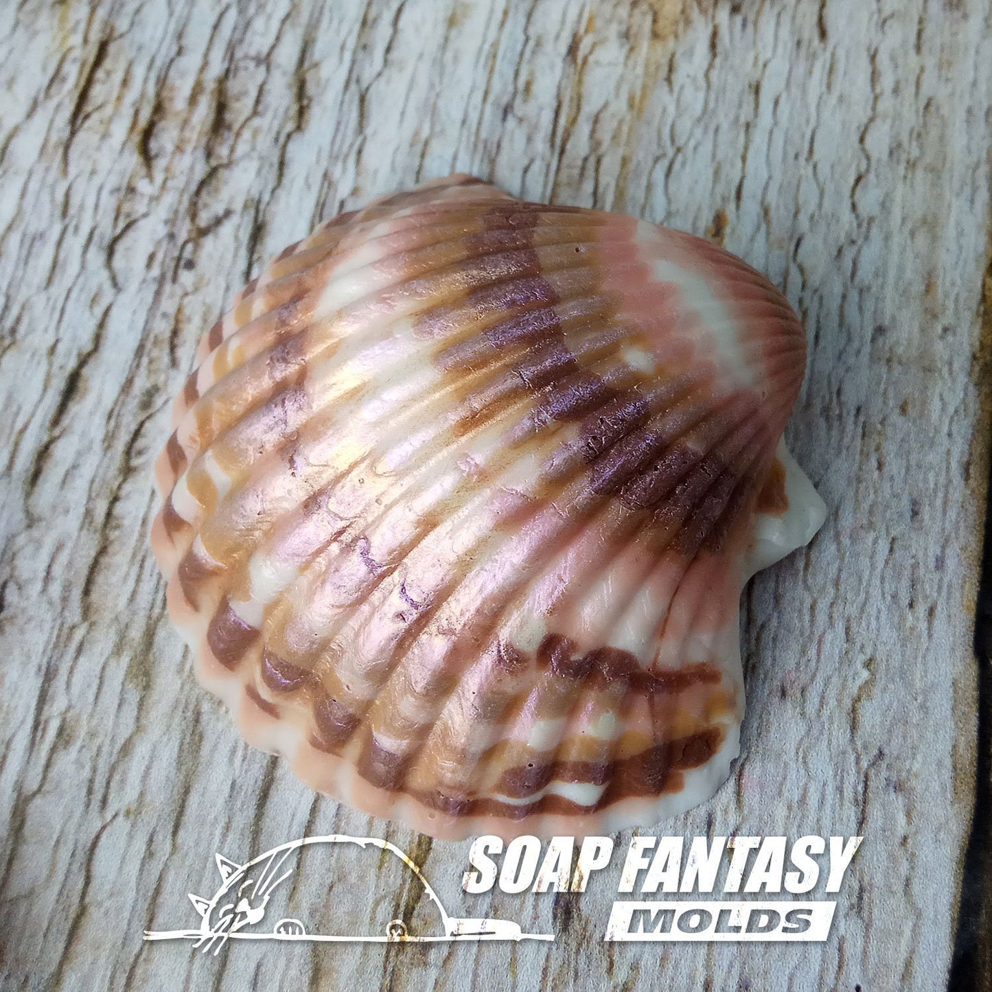 Seashell #4 silicone mold for soap making