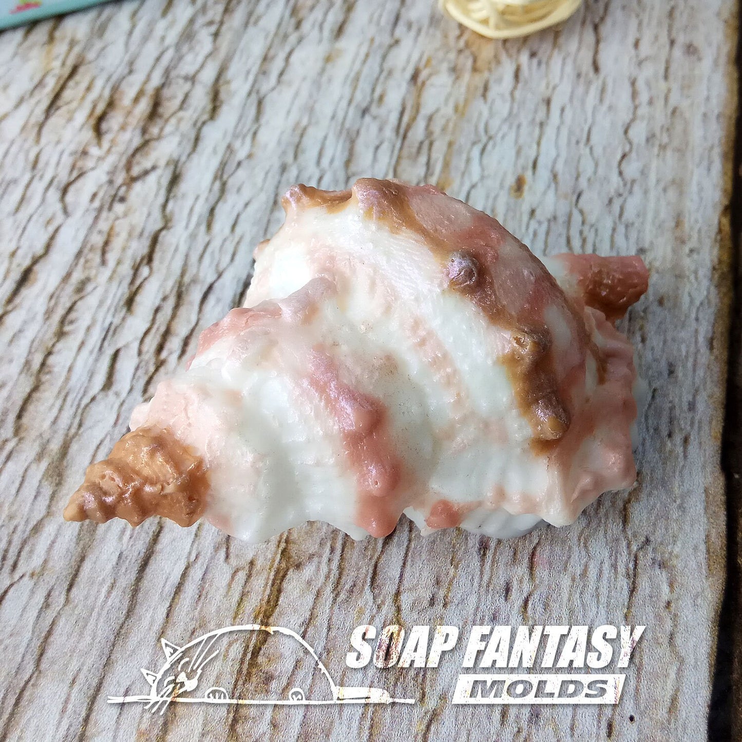Seashell #5 silicone mold for soap making
