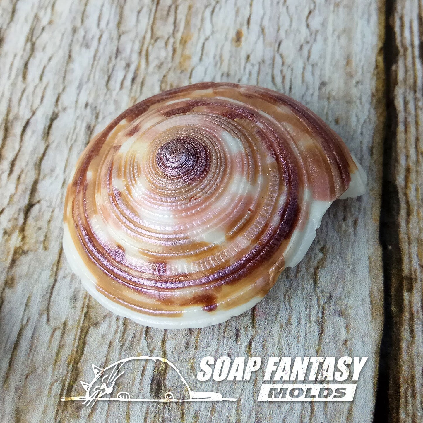 Sea shell #8 silicone mold for soap making