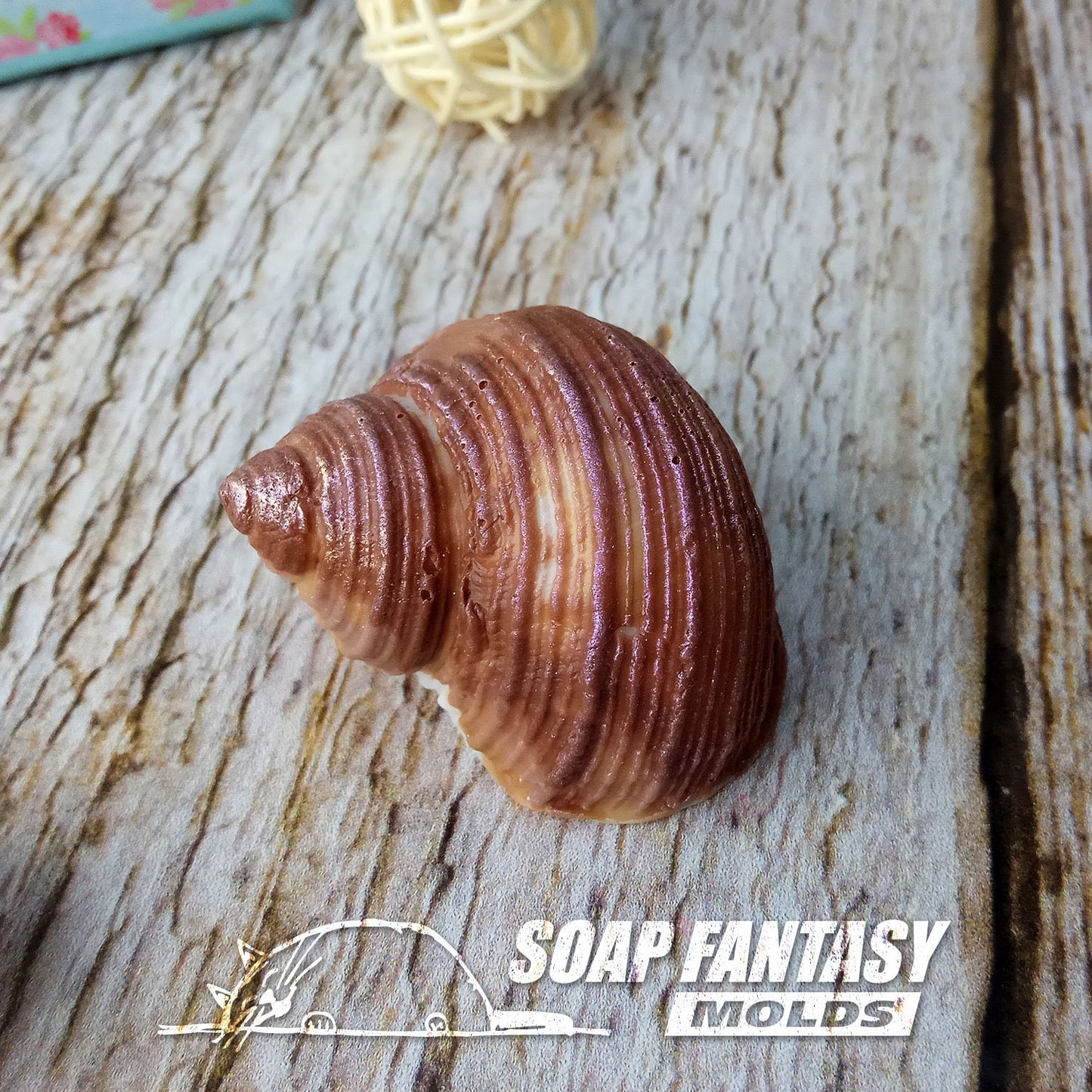 Sea shell #9 silicone mold for soap making