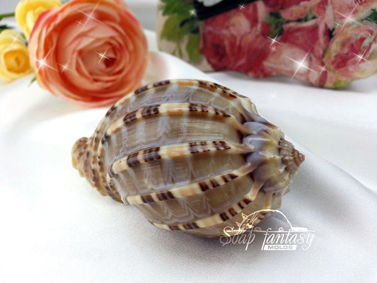 Sea shell #3 Silicone Soap Mold - for soap making, Craft & Hobby