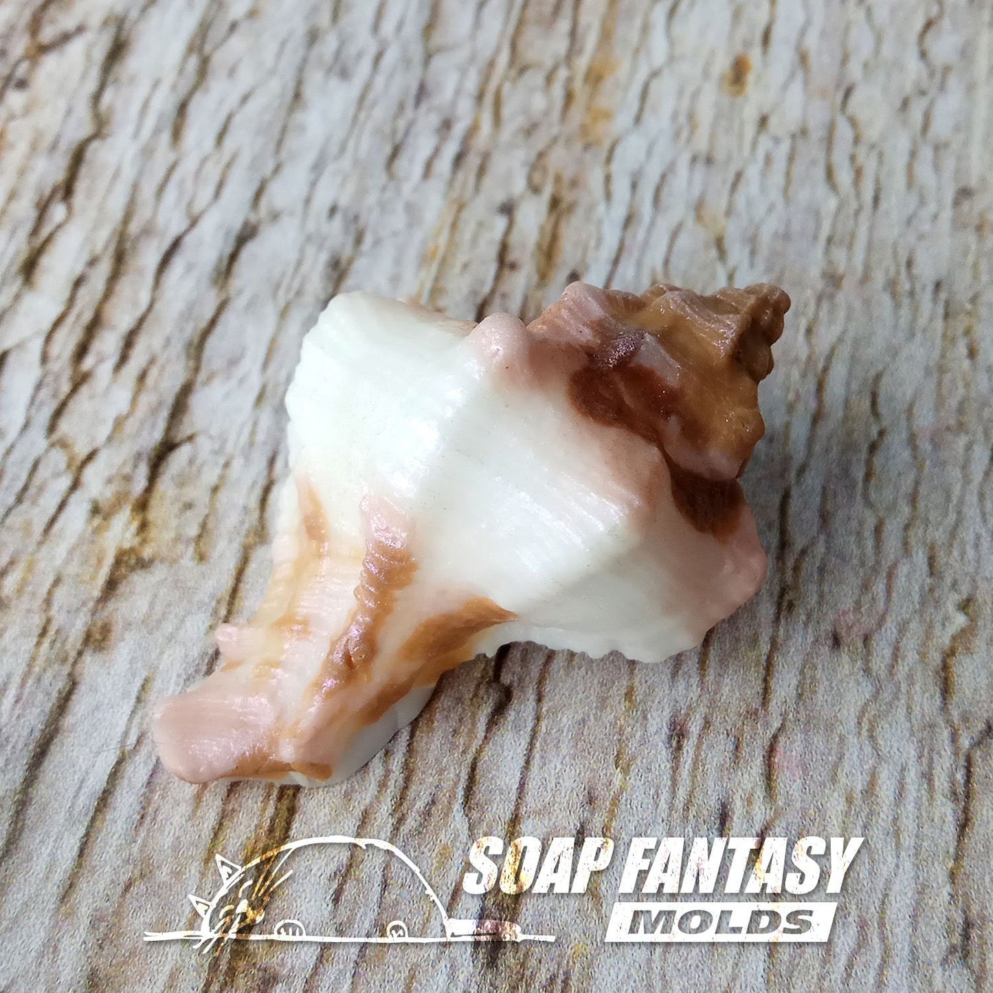 Sea shell #10 silicone mold for soap making