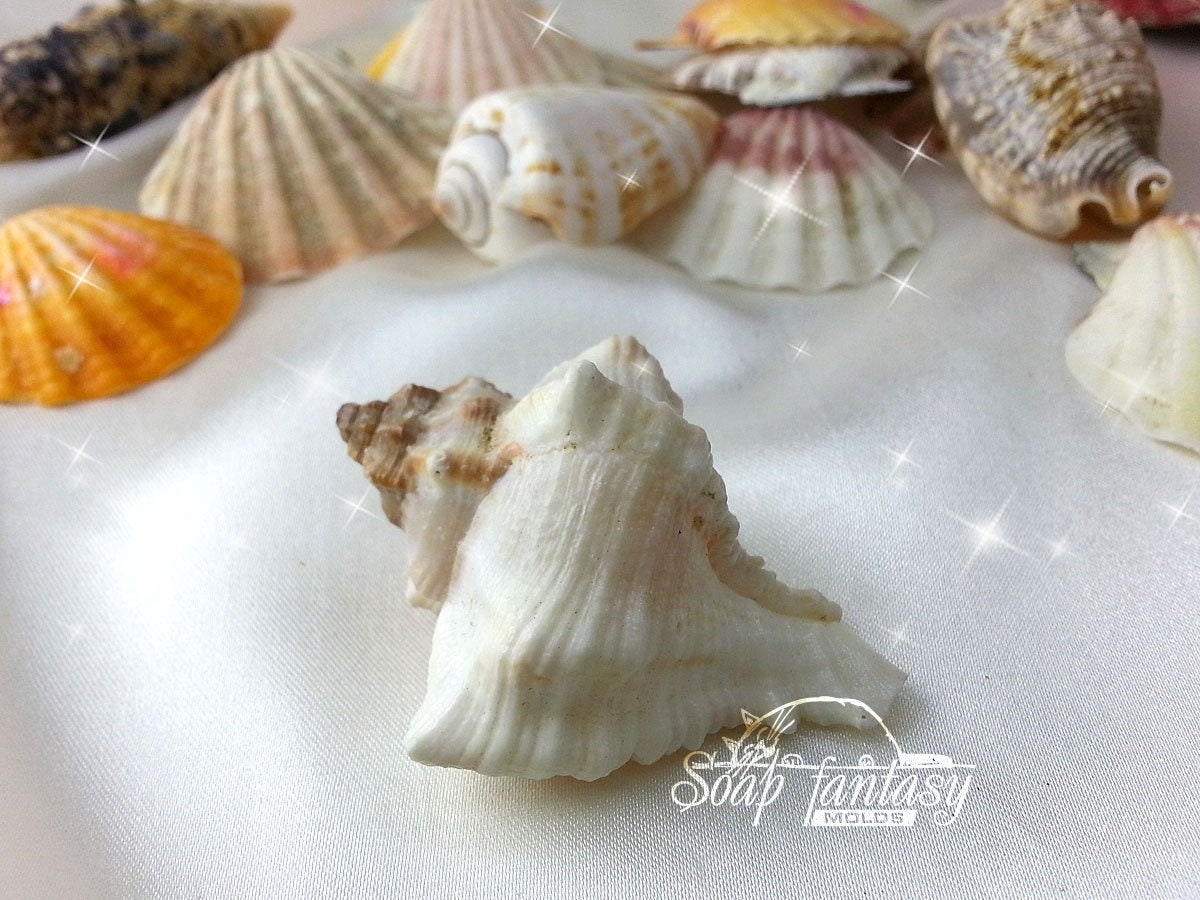 Sea shell #10 silicone mold for soap making