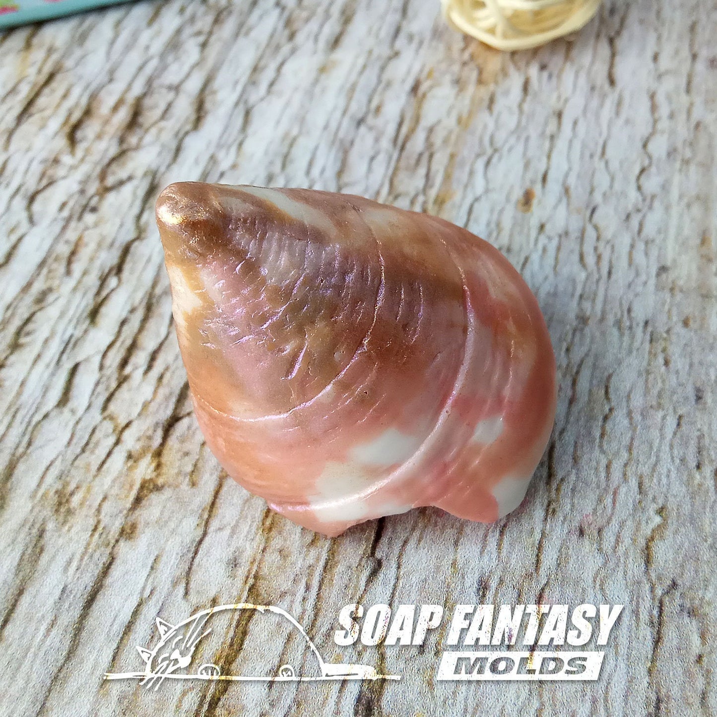 Sea shell #11 silicone mold for soap making
