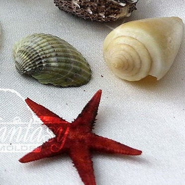 Seashell mini set silicone mold for soap making