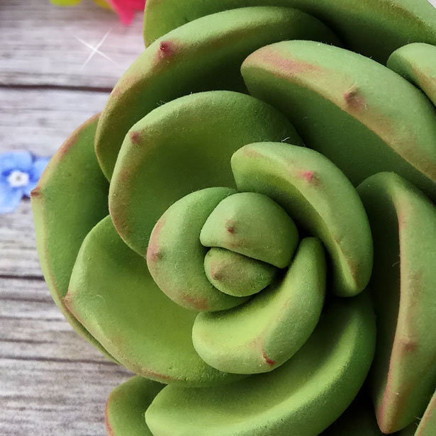 Succulent #1 silicone mold for soap making