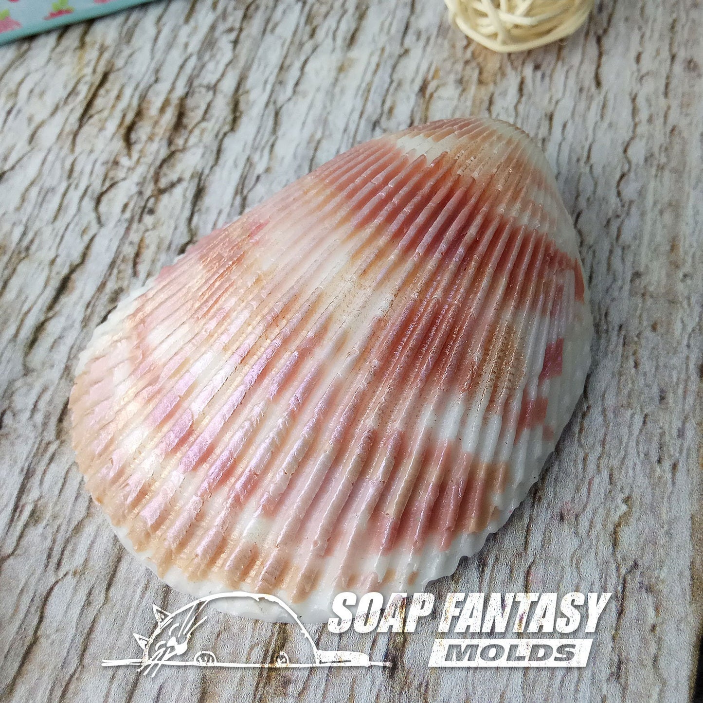 Seashell #2 silicone mold for soap making