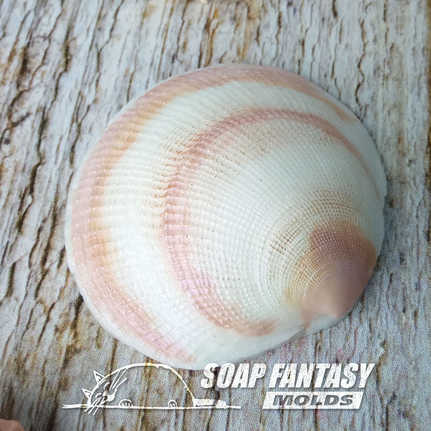 Seashell #6 silicone mold for soap making
