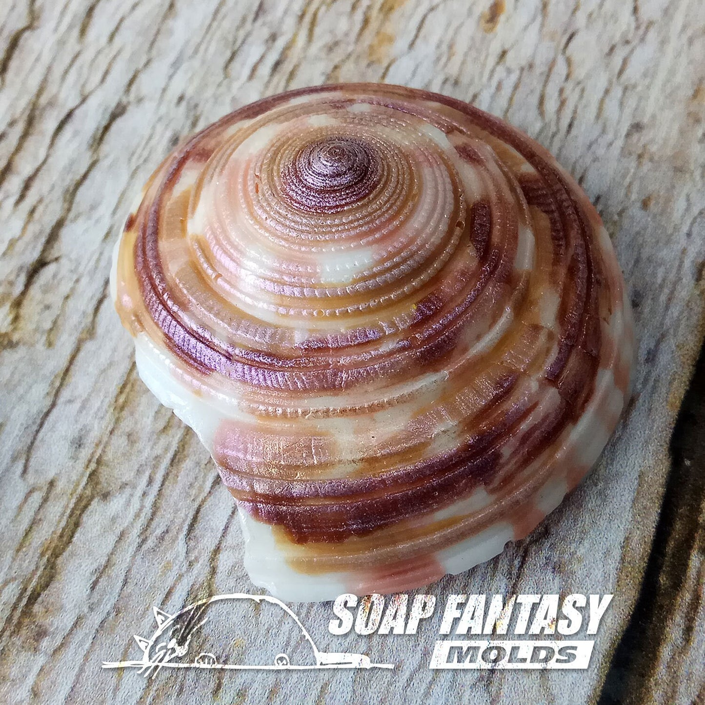 Sea shell #8 silicone mold for soap making