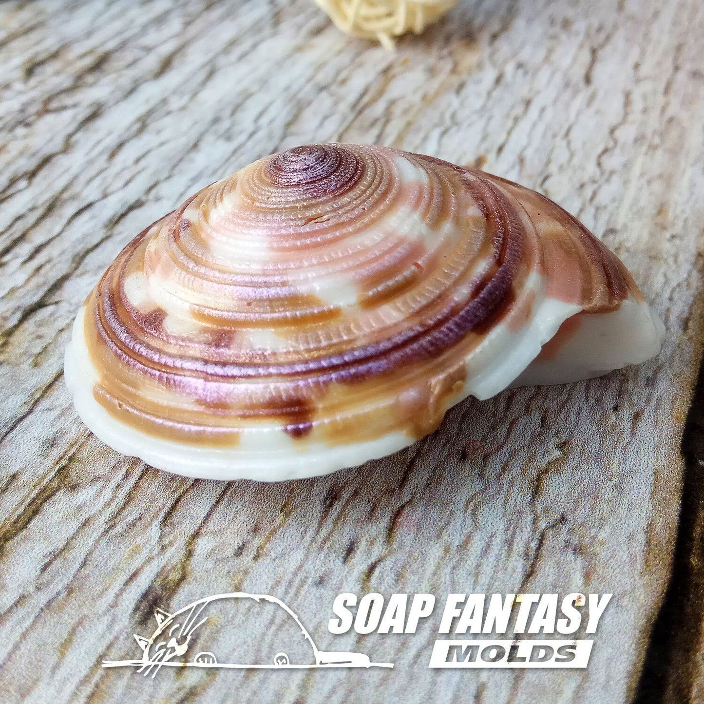 Sea shell #8 silicone mold for soap making