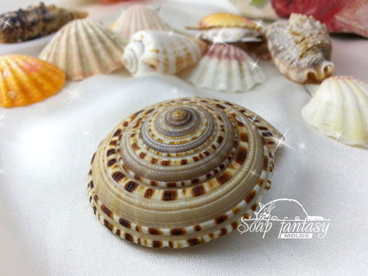 Sea shell #8 Silicone Soap Mold - for soap making, Craft & Hobby