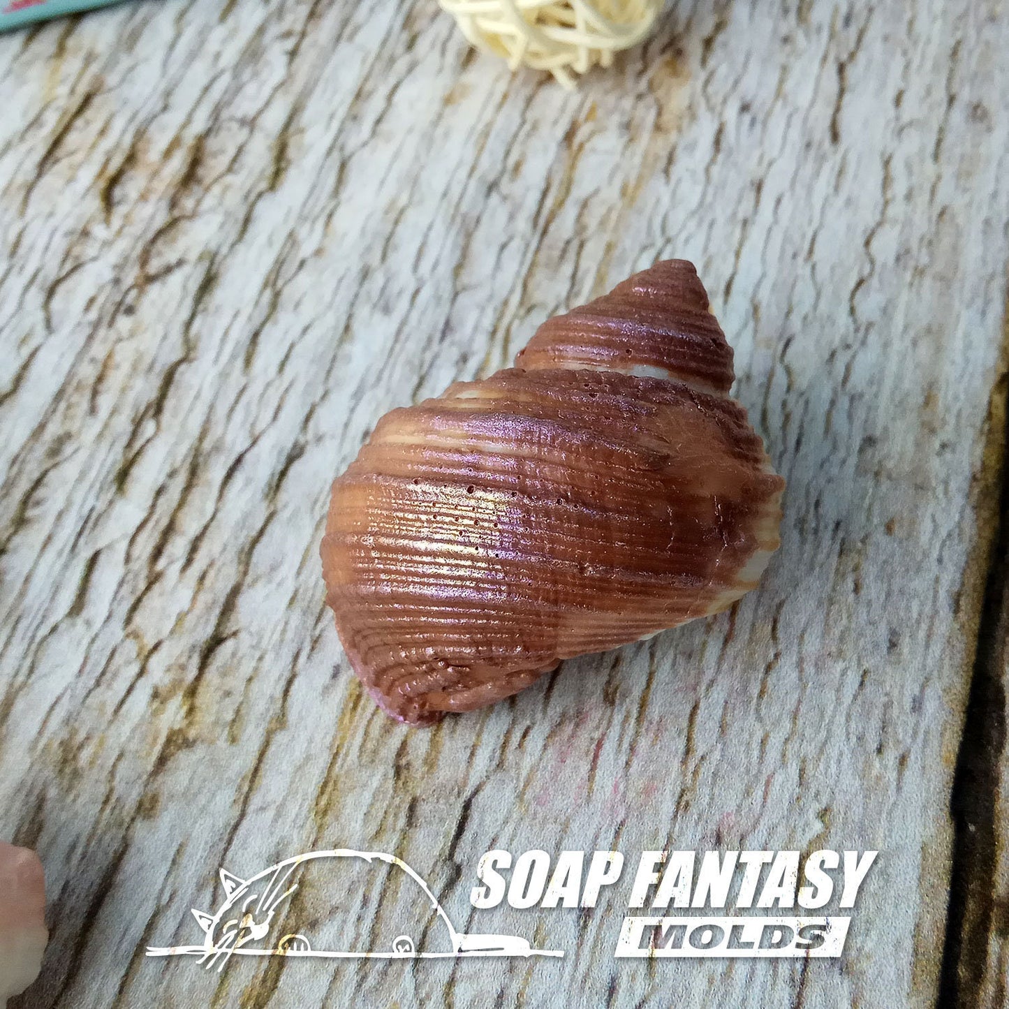 Sea shell #9 silicone mold for soap making