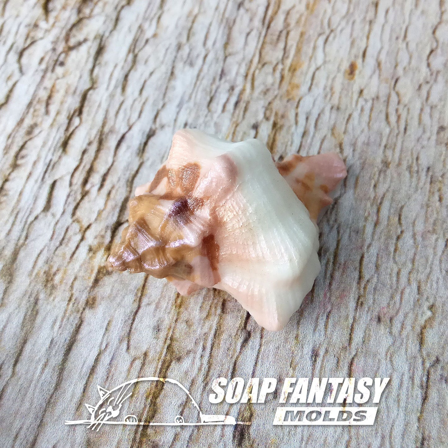 Sea shell #10 silicone mold for soap making