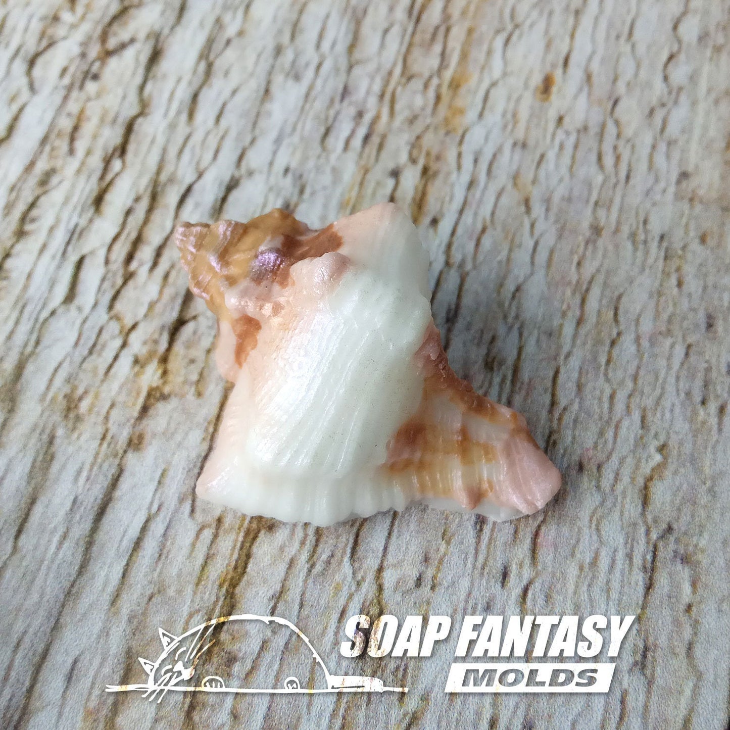 Sea shell #10 silicone mold for soap making