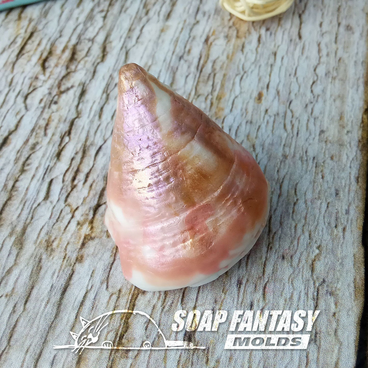 Sea shell #11 silicone mold for soap making