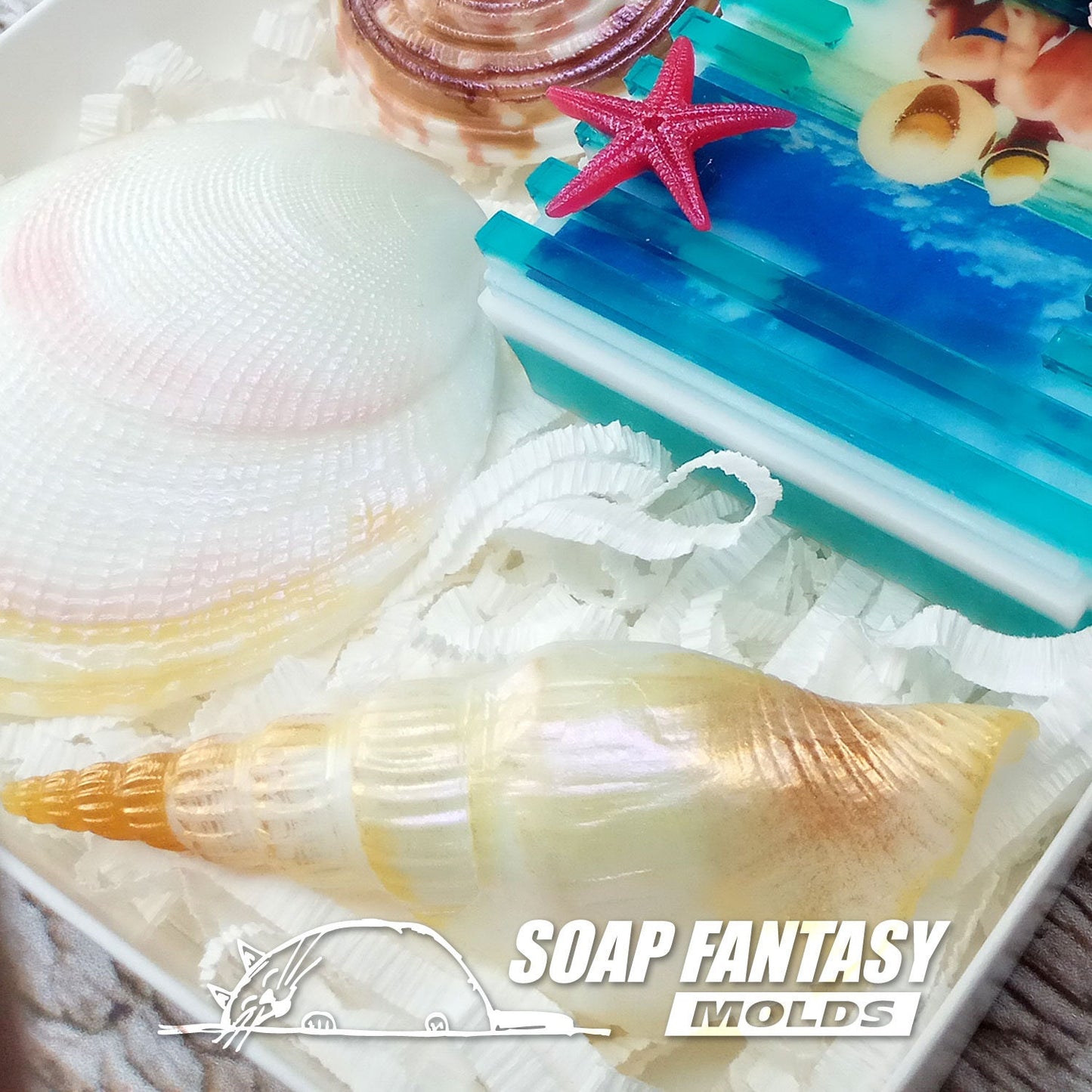 Sea shell #12 silicone mold for soap making