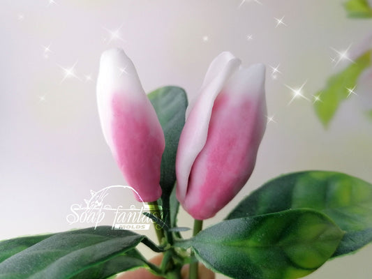 Magnolia soulangeana buds #2-3 Silicone Soap Mold - for soap making, Craft & Hobby