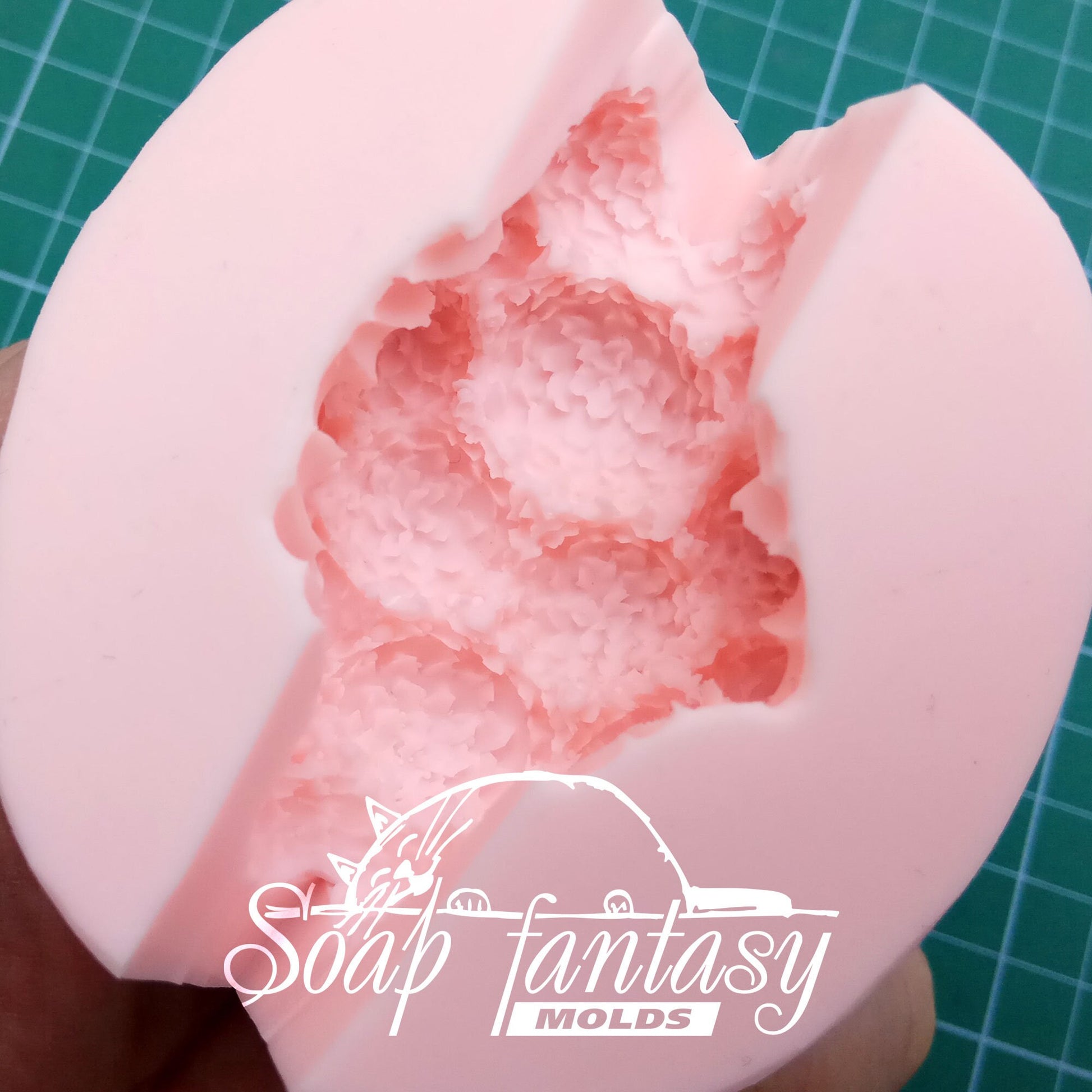 Brunia albiflora plants silicone mold (mould) for soap making and candle making