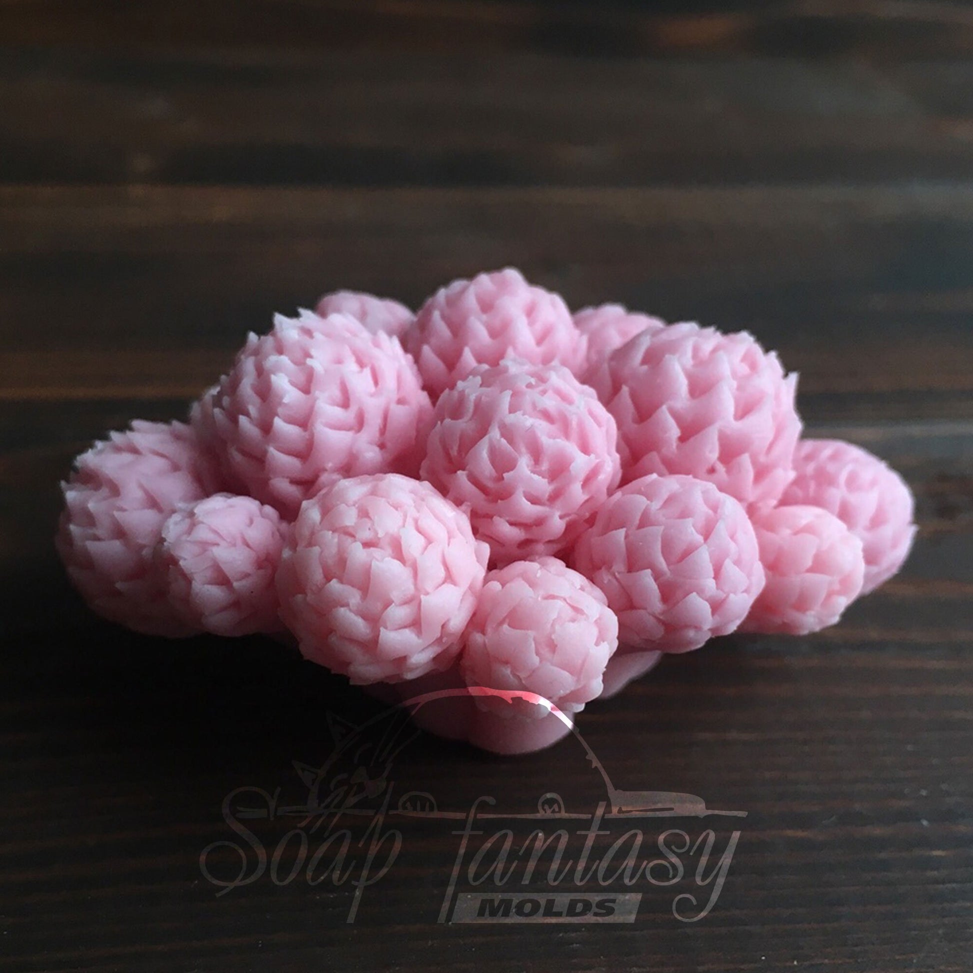 Brunia albiflora plants silicone mold (mould) for soap making and candle making