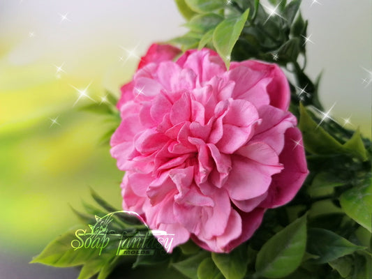 Peony "Evening Dream" Silicone Soap Mold - for soap making, Craft & Hobby