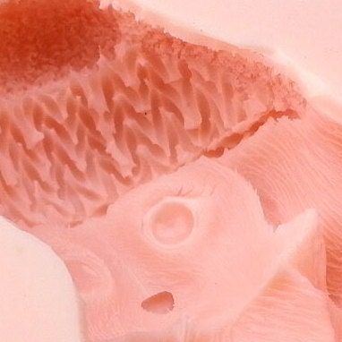 Bunny in a hat silicone mold (mould) for soap making and candle making