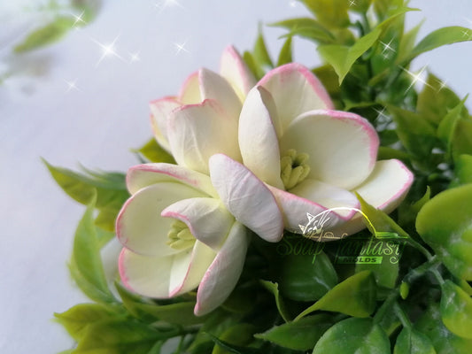 Freesia White triplet Silicone Soap Mold - for soap making, Craft & Hobby