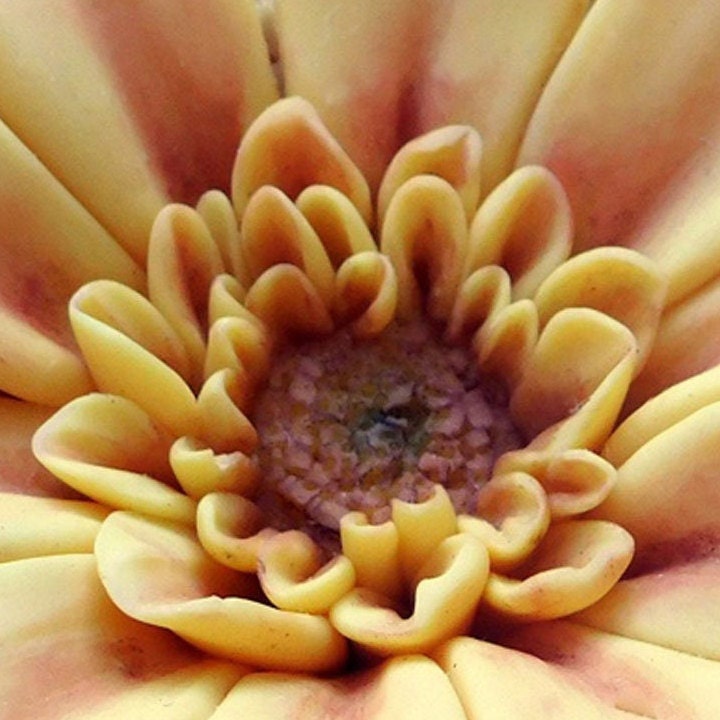 Zinnia flower silicone mold for soap making